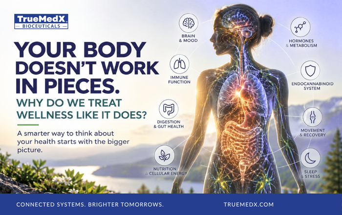 TrueMedX infographic of a human body showing interconnected biological systems — brain and mood, immune function, digestion and gut health, nutrition and cellular energy, hormones and metabolism, the Endocannabinoid System, movement and recovery, and slee