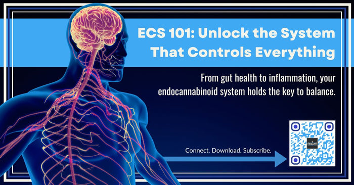 an overview of the endocannabinoid system
