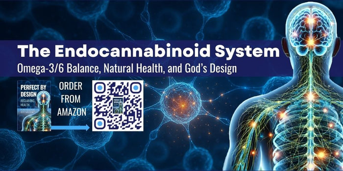 The Endocannabinoid System: Omega Balance & Health