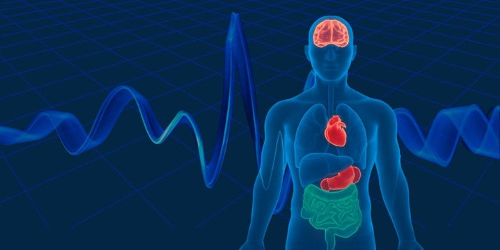 How Functional Testing Uncovers Root Health Problems