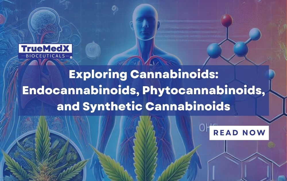 Exploring Cannabinoids: Endocannabinoids, Phytocannabinoids, and Synthetic Cannabinoids - TrueMedX Bioceuticals