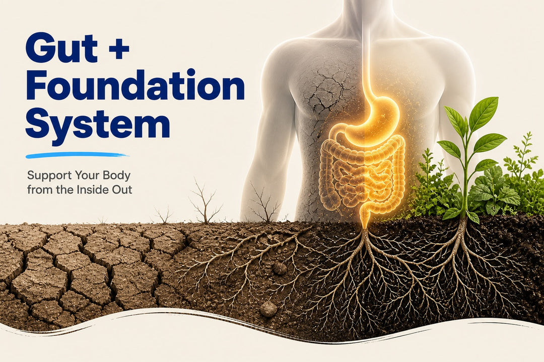 gut health living soil concept