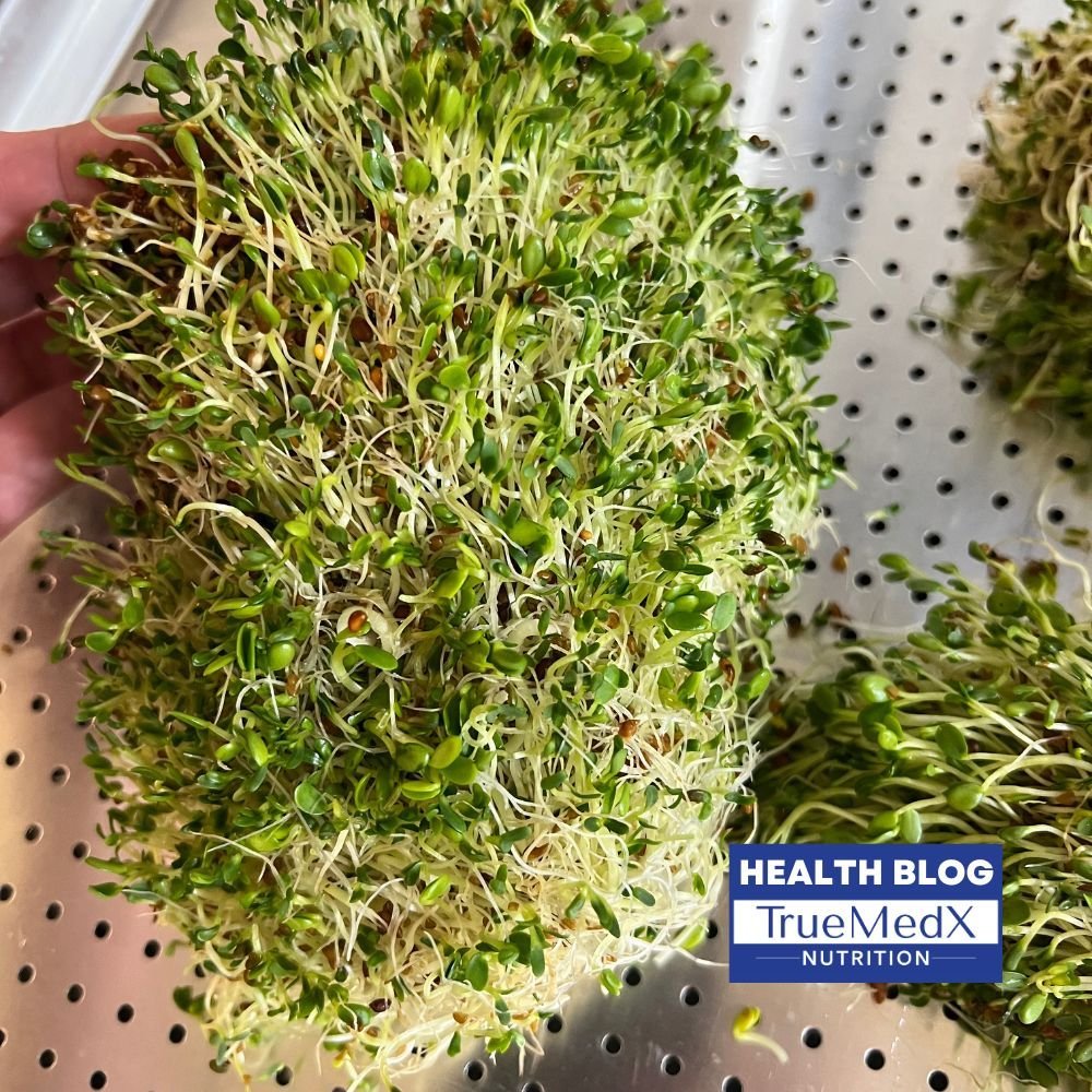 How to grow your own Sprouts - TrueMedX Bioceuticals