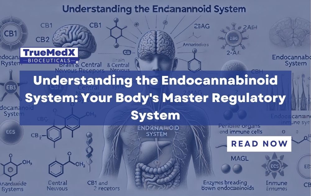 Understanding the Endocannabinoid System: Your Body's Master Regulatory System - TrueMedX Bioceuticals