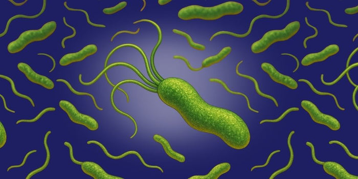 H. Pylori The Super Bug hiding in your gut