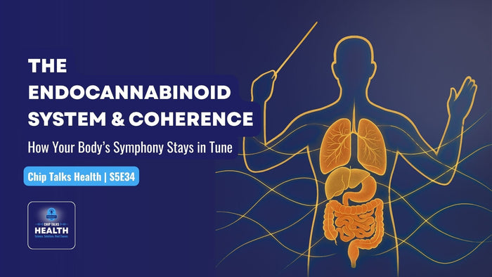 The Endocannabinoid System & Coherence: How Your Body’s Symphony Stays in Tune