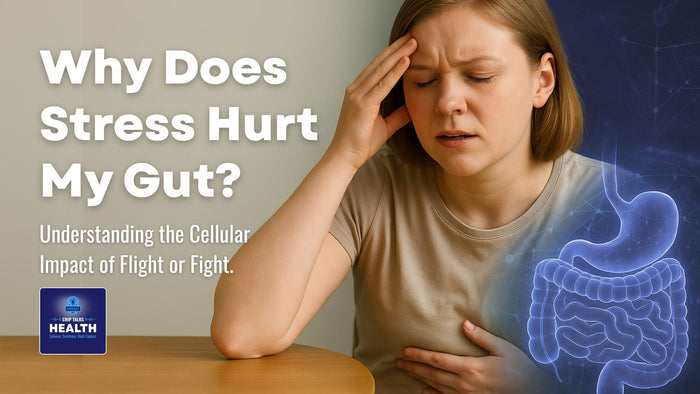 why does stress hurt my gut featured image