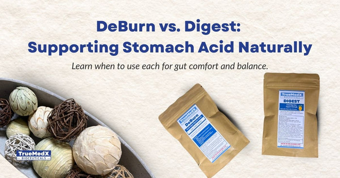 Stomach Acid & Digestion: How to Support a Balanced Gut Naturally