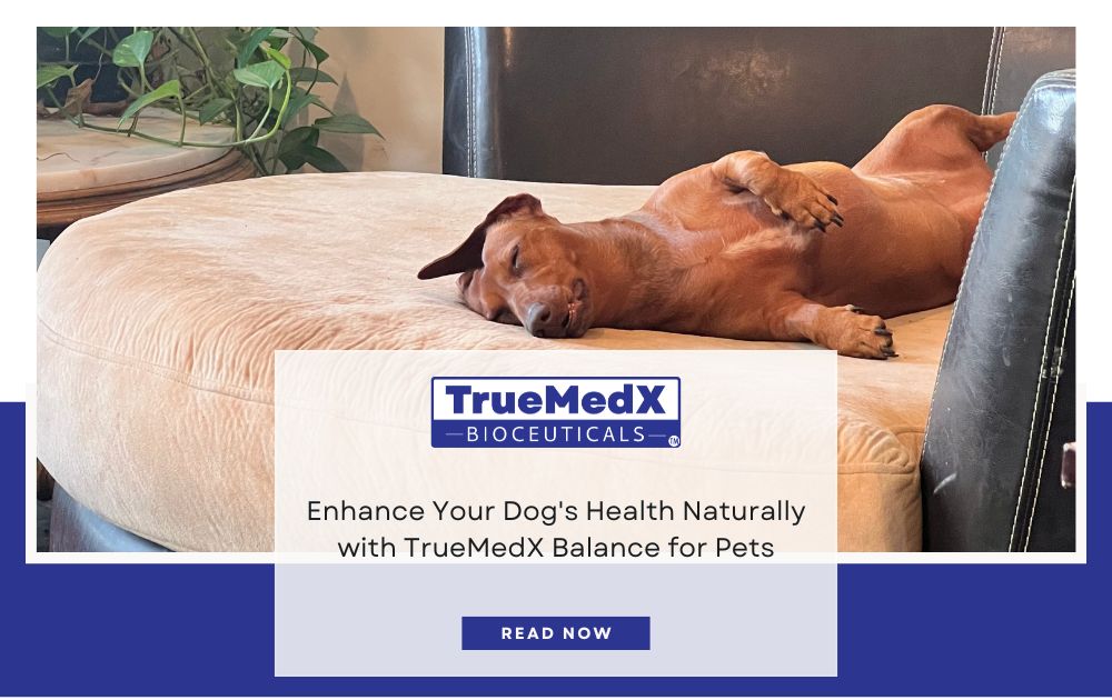 TrueMedX Balance for Pets - TrueMedX Bioceuticals