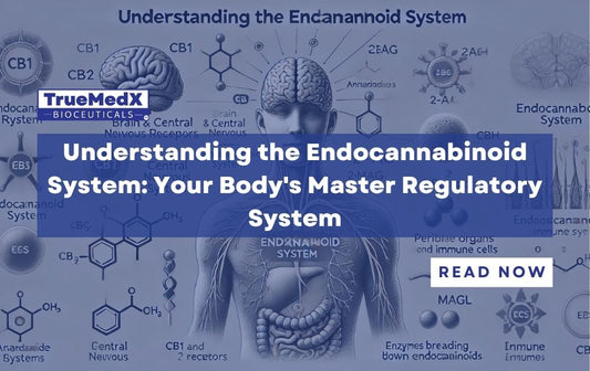 Understanding the Endocannabinoid System: Your Body's Master Regulatory System - TrueMedX Bioceuticals