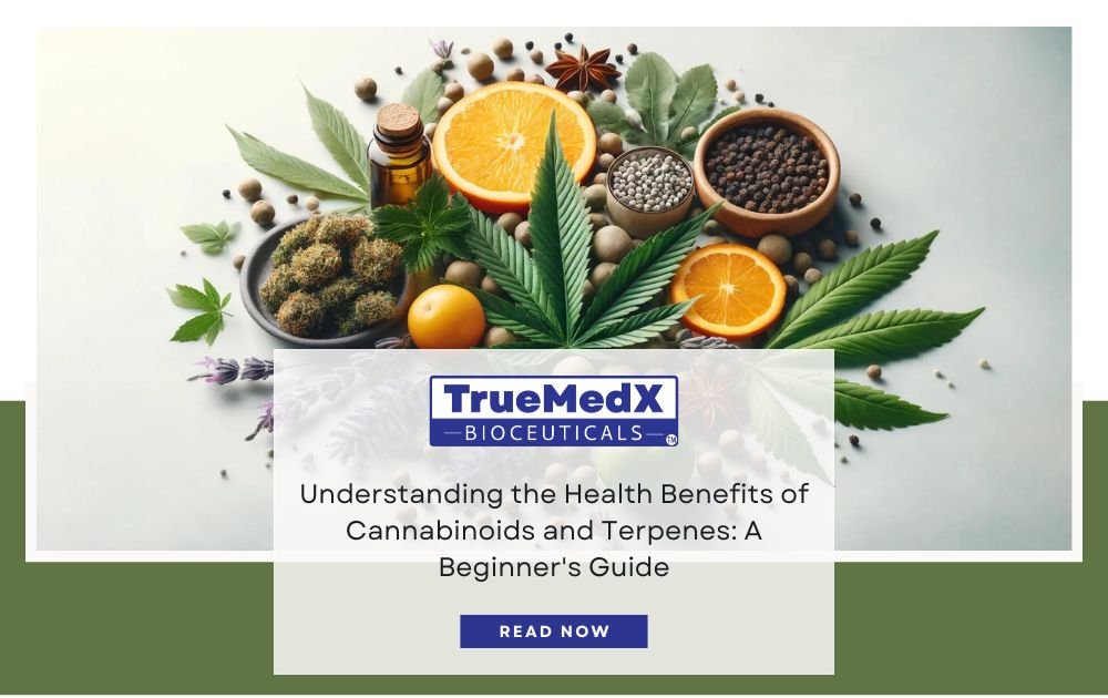 Understanding the Health Benefits of Cannabinoids and Terpenes: A Beginner's Guide - TrueMedX Bioceuticals