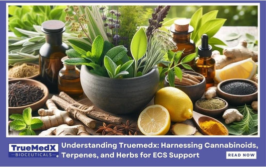 Understanding Truemedx: Harnessing Cannabinoids, Terpenes, and Herbs for ECS Support - TrueMedX Bioceuticals