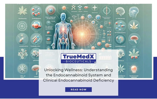 Unlocking Wellness: Understanding the Endocannabinoid System and Clinical Endocannabinoid Deficiency - TrueMedX Bioceuticals