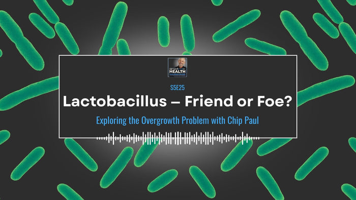 lactobacillus - friend or foe?