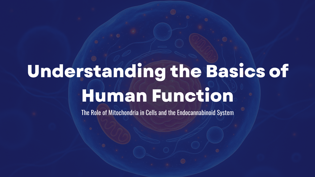 Mitochondria health support